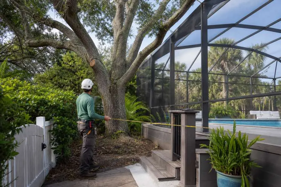 A person beside a tree, a gate and a screened swimming pool.